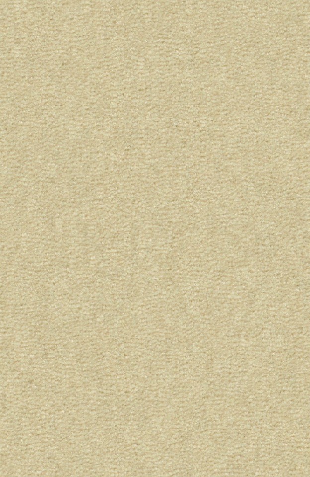 Teppichboden Bingo 8K65 hellbeige m²/23,99€